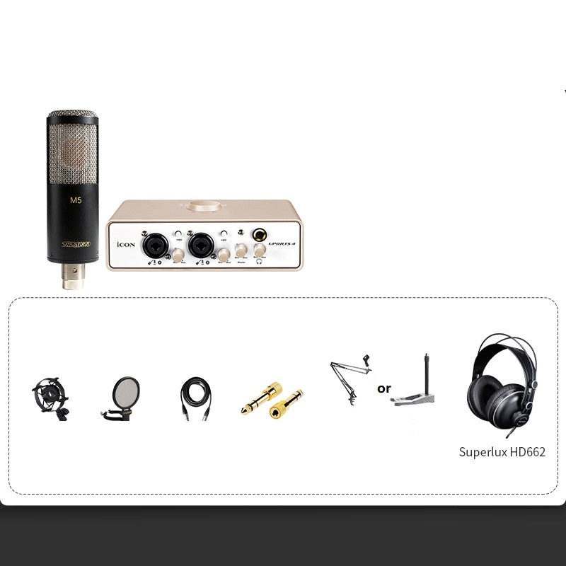 Professional Condenser Microphone Recording Live Dubbing