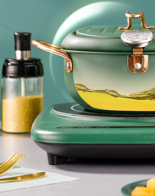 Morandi Non-stick Fryer with Temperature Control & Oil Filter