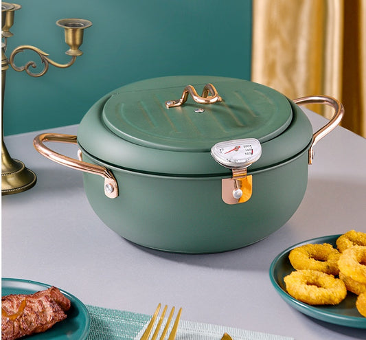 Morandi Non-stick Fryer with Temperature Control & Oil Filter