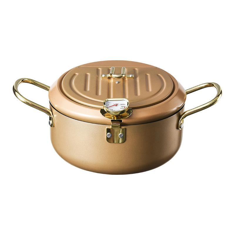 Household Deep Fryer with Temperature Control