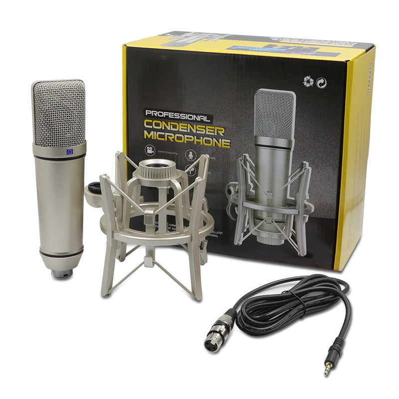Condenser Microphone Anchor Recording Conference Singing