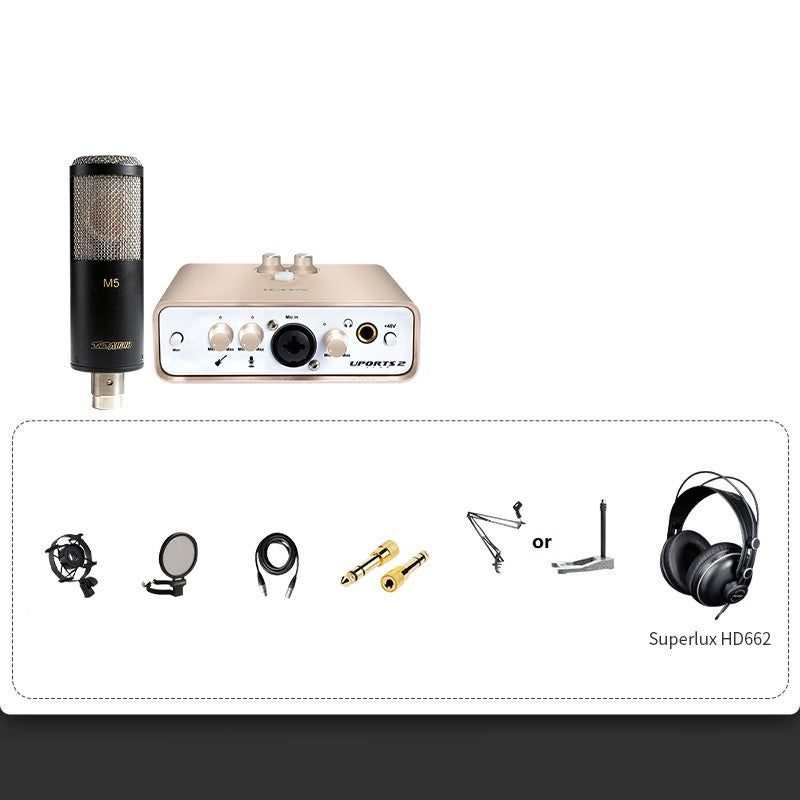 Professional Condenser Microphone Recording Live Dubbing