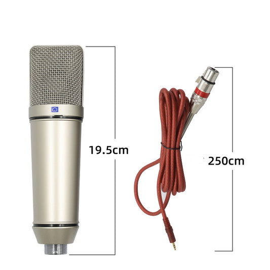 Condenser Microphone Anchor Recording Conference Singing
