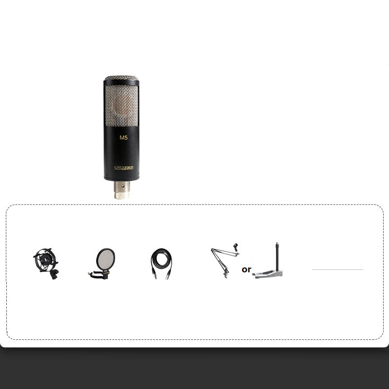 Professional Condenser Microphone Recording Live Dubbing