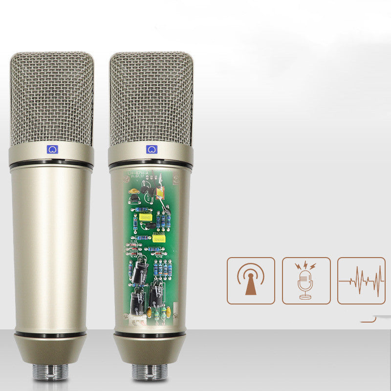 Condenser Microphone Anchor Recording Conference Singing