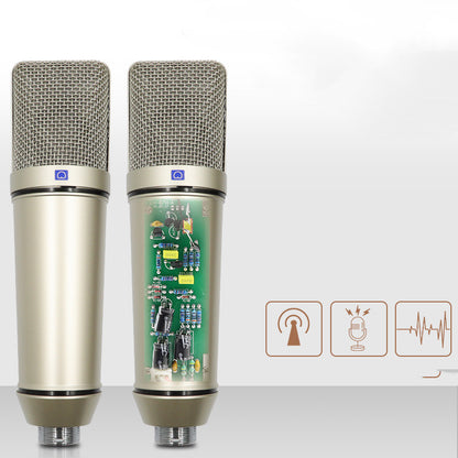 Condenser Microphone Anchor Recording Conference Singing