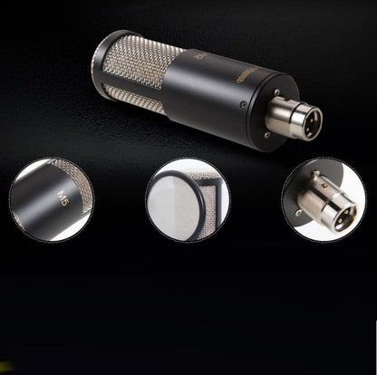 Professional Condenser Microphone Recording Live Dubbing