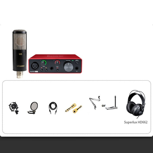 Professional Condenser Microphone Recording Live Dubbing
