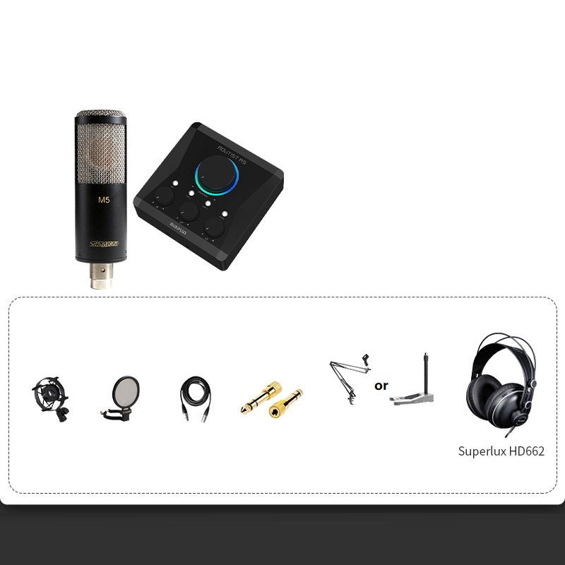 Professional Condenser Microphone Recording Live Dubbing