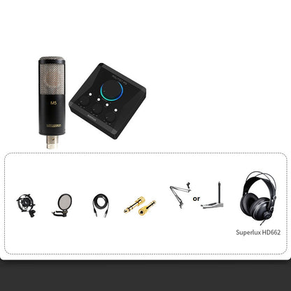 Professional Condenser Microphone Recording Live Dubbing