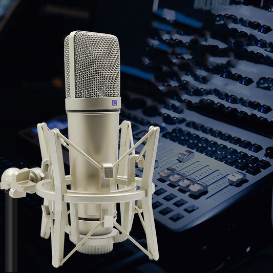 Condenser Microphone Anchor Recording Conference Singing